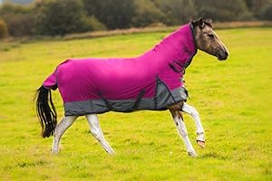 EQUITACK YOUR PASSION IS OUR MISSION Equitack Outdoor Winter Turnout Horse Rugs | 100g Quilted Filling | Mediumweight | Combo Full Neck | Wateproof | Raspberry/Grey 6ft 9
