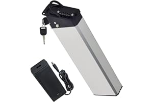 XISENY Batteria E-Bike 48V 15Ah per Biciclette Elettriche Pieghevoli Engwe PRO 2, Mate X, Engwe Engine X, per Motori 250W 350W 450W 500W 750W 1000W, Batteria al Litio con BMS e Caricatore (48V15Ah)