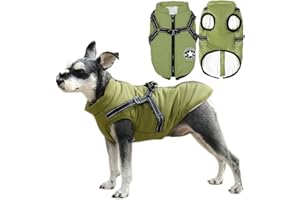 Voarge Hundejacke Winterweste Jacken, Hundemantel mit Geschirr für Kleine Hunde Hundemantel Wasserdicht Maschinen Waschbarer Reflektierender Streifen Design Haltbarer D-Ring (Grün, S)