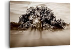 ARTTOR Cuadros Decoracion Salon arbol campo naturaleza Lienzos decorativos 120x80cm Cuadro Sobre Lienzo Moderno Dormitorio Cocina Cuadros Pared Imágenes Wall Art Prints Decor Canvas Grande XXL AA120x80-3811