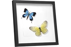 EUGAD Ramka 3D do napełniania, ramka na przedmioty 40 x 40 cm, głęboka ramka na obiekty do 1,5 cm, drewniana rama, kolaż z papierowym passe-partout, czarna