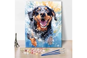 TISHIRON Malowanie według liczb dla dorosłych pies biegający przez wodę dla dorosłych, dzieci i początkujących, sztuka na płótnie, dekoracja ścienna, obraz według liczb, płótno, prezent, 40 x 50 cm