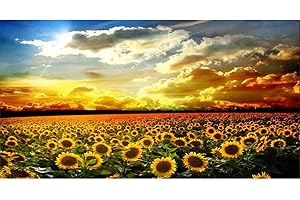 DEMIAWAKINGUK Campo di Girasoli DIY Diamond Painting 5d Grandi Diamond Painting Kit Completo Paesaggi Pittura Diamante 5D Fai da Te Pittura Mosaico Arte Artigianato Decorazione 85x45cm
