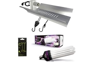 Kit lampada CFL 250W Dual Spectrum - FLORASTAR