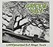 1039 / Smoothed Out Slappy Hours by GREEN DAY