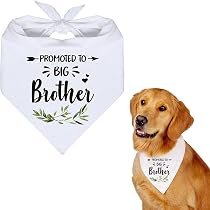 Hundehalstuch „Promoted To Big Brother“ – Schwarzer Flanell-Schal, 63,5 X 43,2 Cm, Für Kleine Bis Große Hunde