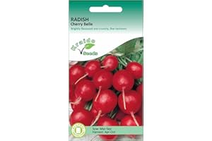 KRAIDO SEEDS Red Radish Seeds Cherry Belle Heirloom Raphanus Sativus 500 Seeds Grow Your Own Vegetable Perfect for Outdoor Growing or in Pots and Containers