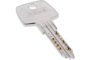 TONITEC 1x zusätzlicher Schlüssel zum gewählten EC550 Türzylinder