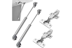 CTCEHL Molla a Gas,Cerniere Mobili,Pistoni a Gas e 100N Cerniera anta per Mobili set per ante di armadi,porte in legno,porte a doghe in legno,armadi,scatole per giocattoli (2*Molla a Gas & 2*Cerniere Mobili)