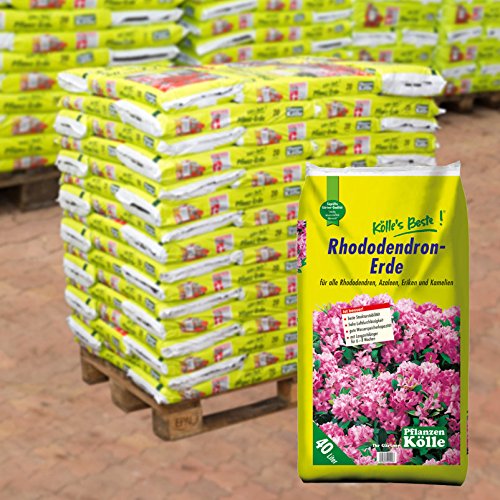 Rhododendron-Erde auf Palette – 60 Säcke à 40 Liter Blumenerde für Moorbeetpflanzen – Gärtnerqualität – Kölle‘s Beste Erde für Rhododendron, Azalee, Erika, Kamelie