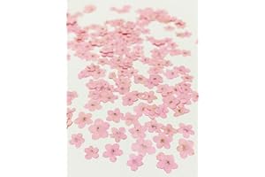 HANDI-KAFU 20 Stück Rosa Vergissmeinnicht Echte Natürliche Getrocknete Gepresste Blumen für Kunstharz Dekorationen Handwerk DIY