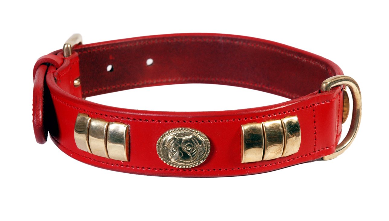 Aces Equine STAFF STAFFIE STAFFORDSHIRE BULL TERRIER DOG HARNESS