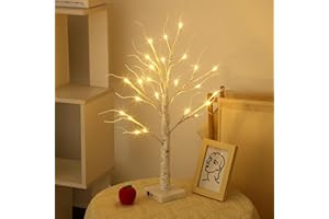 SONGLYPIAN Albero di Betulla con Luci LED, 60cm/2ft LED Luci Albero Decorativo per Interni con 24 Luci a Led Bianco Caldo, Batteria/USB Artificiale LED Albero di Betulla per Natale Festa Pasqua Nozze Decor
