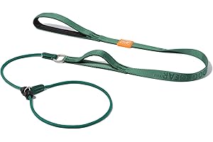 Howgo Dog Slip Lead Dog Leash, Training Leash, No-Pull Lightweight Slip Lead and Collar, Heavy Duty & Durable, Padded Handle, for All Breeds (Green, 5FT)