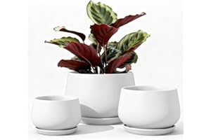 LE TAUCI Pot de Fleurs en Céramique, 11+13+17 cm, Lot de 3, Pot avec Trou de Drainage et Soucoupe, Pot d’Intérieur avec Tapis en Maille, Cadeau pour la Fête des Mères, Blanc