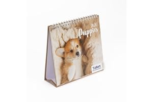 SHINEONE 2026 Desk Top Calendar Month to View Flip Over Home Office School Square Planner Size 17cm x 17cm (Puppies)