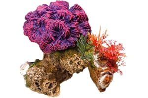 Nobby Pierre de Corail avec Plantes Décoration pour Aquarium 13 x 10 x 12 cm