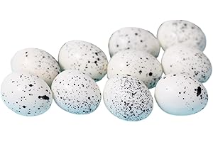 Haloppe Huevos de codorniz falsos para decoración de patio pequeño, portátil, decoración de nido de pájaros, adornos de huevo de paloma falsa, suministros de decoración de jardín, color blanco