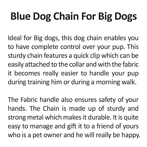 Metal-Dog-Chain-With-Blue-Fabric-Handle-Enables-You-To-Complete-Control-on-Your-Pet