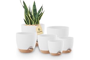 Bamworld Samonawadniające się doniczki do wnętrz, zestaw 6 sztuk, plastikowe doniczki na kwiaty, 12,7, 14, 15,2, 16,5, 17,8, 20,3 cm, ze spodkami i otworami drenażowymi, do dekoracji ogrodu, na