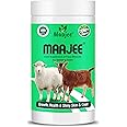 MAAJEE Sheep and Goat Feed Supplement Mineral Mixture for All Stages 908gm
