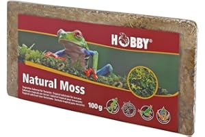 Hobby Dohse 34174 Natural Moss