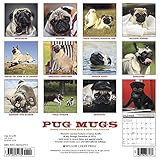 Image de Pug Mugs 2017 Calendar