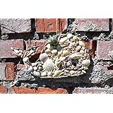 Wal Walfisch Muschel Rustikale D