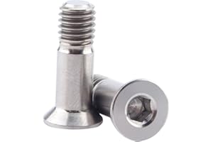 HomeDecTime 2 Pièces Vis de Dérailleur Arrière Vis de Support de Boulon Vis de Boulon de Rouleau de Guidage de Vélo