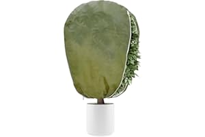 DEWUR 50 g/m², protezione invernale per piante in vaso, protezione antigelo, sacco di iuta per palme, pomodori, limone, oleandro, pianta, palma di canapa (verde, 100 x 120 cm)