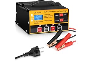 ARRINEW Cargador de Batería para Coche 12V / 24V con Función de Reparación Pantalla LCD y Múltiples Protecciones para Auto Moto Camión Cortacésped Barco