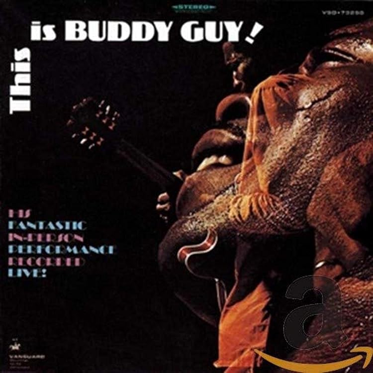 洋楽 Buddy Guy A Man & The Blues LP Buddy Guy - A Man And The Blues -