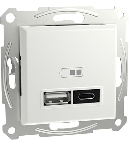 Bticino L4191AA USB-oplader met twee type A-ingangen, voor installatie in de Livinglight-plaat, voor het opladen van een elektronisch apparaat tot 15 W of twee apparaten tegelijkertijd, 1 plaats Bticino L4191AA USB-oplader met twee type A-ingangen, voor installatie in de Livinglight-plaat, voor het opladen van een elektronisch apparaat tot 15 W of twee apparaten tegelijkertijd, 1 plaats