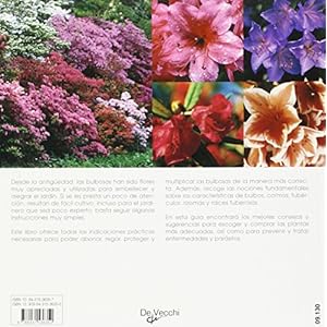 Los rododendros y las azaleas (Agricultura Y Horticultura)