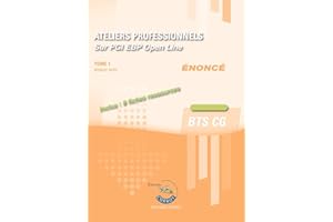 Ateliers professionnels T1 - Enoncé: Sur PGI EBP