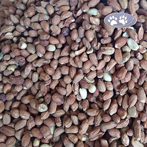 25 kg Erdnusskerne mit Haut ganze Erdnüsse Fettfutter Vogelfutter Streufutter