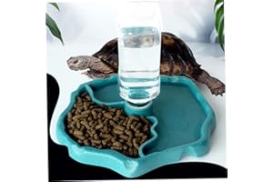 DIERCOSY Dispensateur d'eau, Bol Reptile, mangeur Automatique pour réservoir d'eau pour Bol de Nourriture de Tortue Reptile, Turtle 2 dans 1 Distributeur d'eau., Buveur de Tortues
