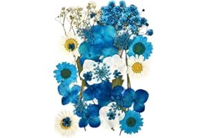 KTBEYTI Pressati Fiori Secchi Reali per Decorazioni Resina Fiori Pressati Naturali per Floreali Collezione Regalo e Scrapbook Craft Decorazione della Cassa del Telefono (Blu)