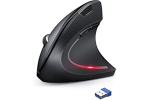 TechRise Raton ergonomico inalambrico 2.4G, Raton Vertical 4800 dpi 5 Niveles Ajustable, Óptico con Luces Indicadoras, Silencioso, para Laptop, Desktop, PC, Macbook (Negro)
