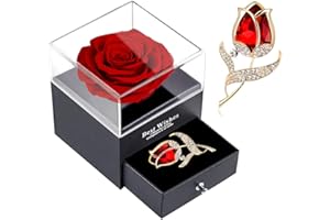 SWEETIME Red Rose Gift Box - Enchanted Real Rose with Ruby Brooch, Eternal Flower in Jewelry Box, Handmade Preserved Forever Gift for Her on Mother's Day, Anniversary