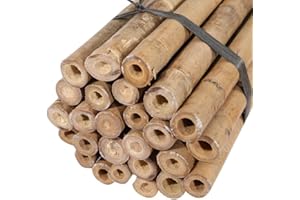 HAZIQ 2FT-3FT-4FT-5FT-6FT Bamboo Garden Canes/Stake/Pole Garden Plant Flower Support Sticks Outdoor/Indoor Natural Strong Plants Support (10, 6ft - 180cm (14-16mm))