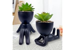 ODIWEN 2Pcs Suculentas Artificiales Pequeñas, Mini Plantas Falsas de Plástico para Decoración