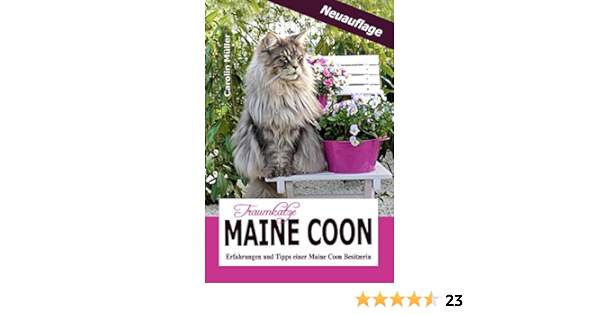 Traumkatze Maine Coon Erfahrungen Und Tipps Einer Maine Coon Besitzerin Ebook Muller Carolin Muller Carolin Amazon De Kindle Shop