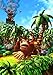 Produktbild Donkey Kong Country Poster