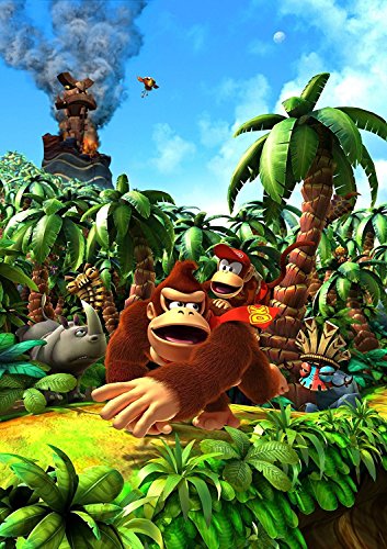 Preisvergleich Produktbild Donkey Kong Country Poster