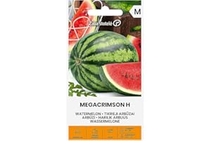 ŽALIA STOTELĖ Zalia stotele | SANDÍA - MEGACRIMSON H Semillas | Semillas de Hortalizas | Semillas de sandía | semillas de plantas | semillas de jardín | 1 paquete