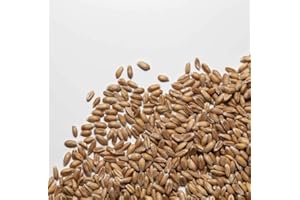 IL CONTADINO - ANTICHI SAPORI FARRO PERLATO ITALIA | Il Contadino | Legumi Secchi (5 Kg)