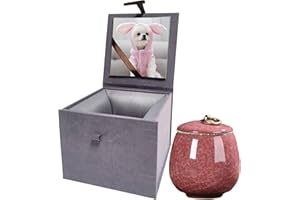 DOINFUN Mini Urns for Ashes, Handicrafted Ceramic Ashes Urns for Dog Cat Small Pets Ashes Keepsake Memorial Gift, Ashes Holder with Exquisite Box-Rose Red