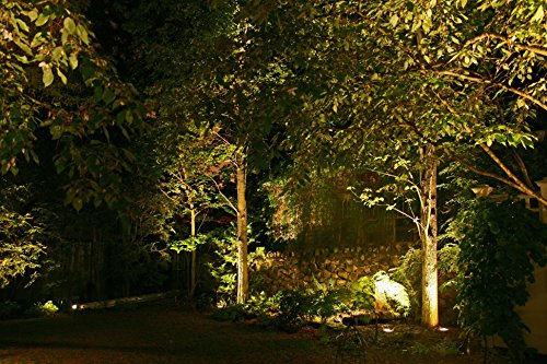 LemonBest® 5W COB LED Lawn Licht Garten Scheinwerfer, Wasserdichtes Bodenleuchte Gartenstrahler Teichstrahler, AC 85-245V, EU Stecker (Warm weiß) - 7