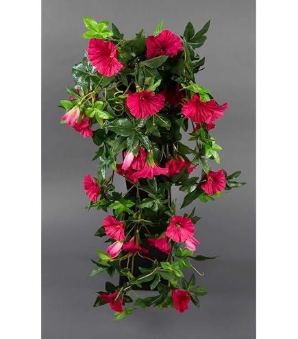 Amazon.de: Seidenblumen Ro Rosenranke 62cm rosa-pink ZF Kunstpflanzen  Kunstblumen knstliche Pflanzen Rosenhnger Rosen